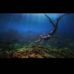 Tj Lively Profile Picture