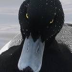 Tik Taktoe Profile Picture