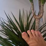 Smellyfeet Profile Picture